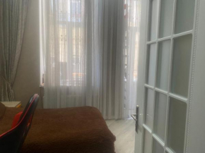 Comfortable Apartment in the Centre of the City